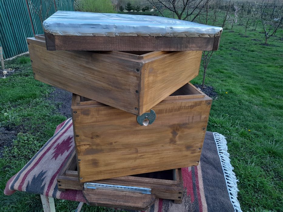 Вулики дадан копрусні