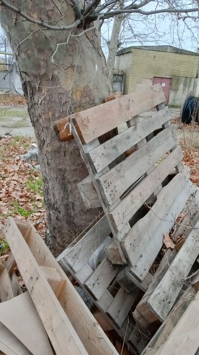 Продам  хорошые поддоны , 100 гр шт