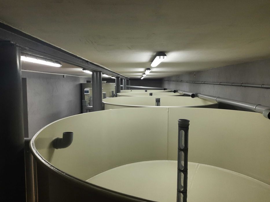 Басейни для УЗВ з поліпропілену — виготовлення за розмірами