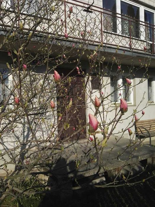 Wynajmę pokój dwuosobowy