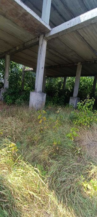 Будівля під магазин