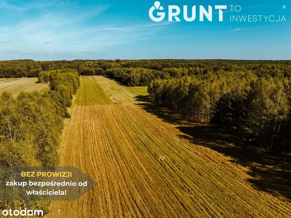 Działki nad zalewem - wyjątkowa propozycja