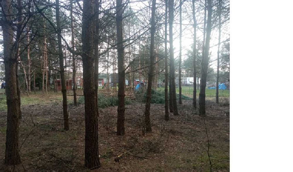 czyszczenie,karczowanie działek,mulczowanie,wyburzenia, rozbiórki.