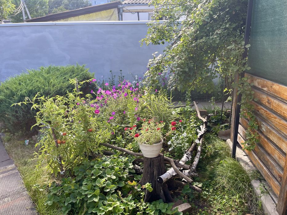 Продам дом- квартиру на землі