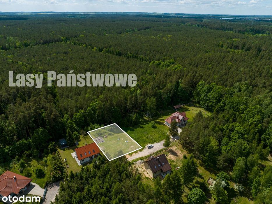 Mazury | Działka budowlana 1014 m² | Mrozy Wielkie k. Ełku | MPZP - Widok 5