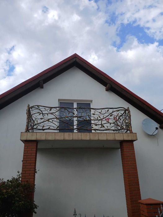 Dom jednorodzinny  z działka 10ar
