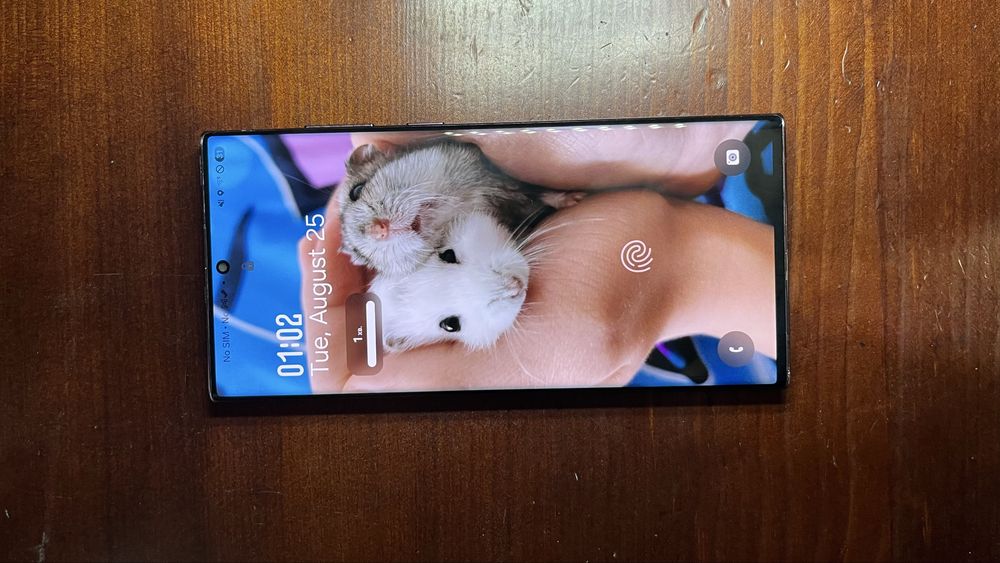 Samsung s22 ultra snapdragon