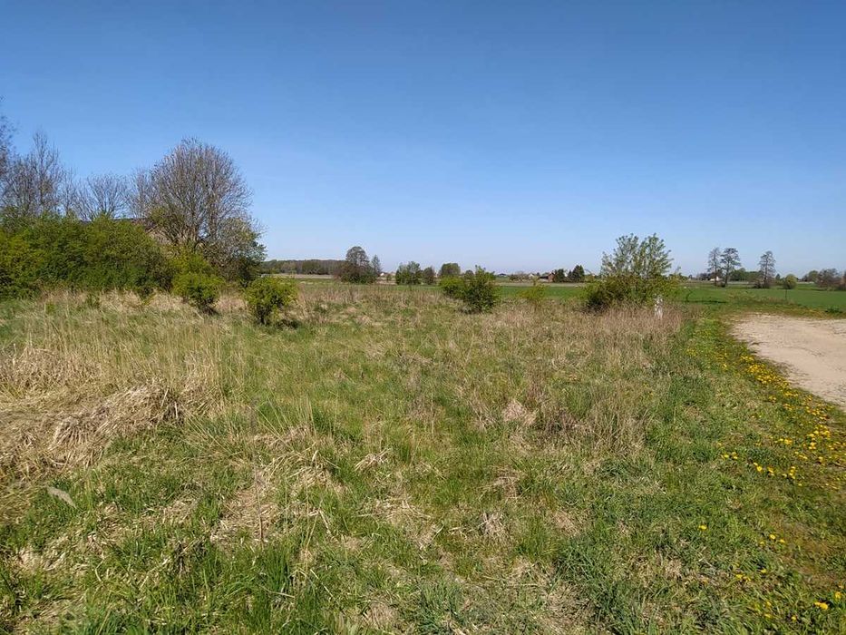 Działka - Sokolniki Parcela - 2.219 m² - Widok 2