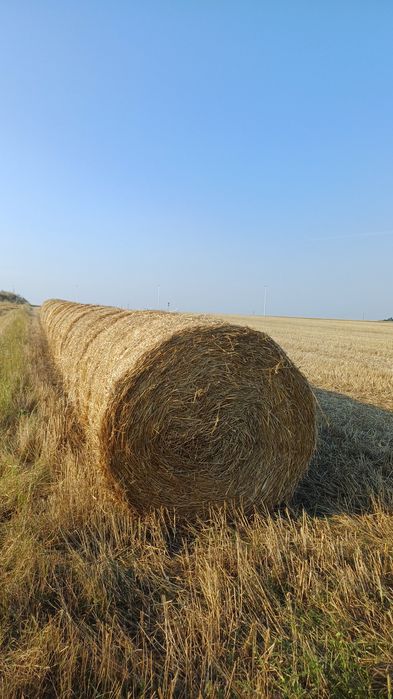 Sprzedam słome w balach 120/150