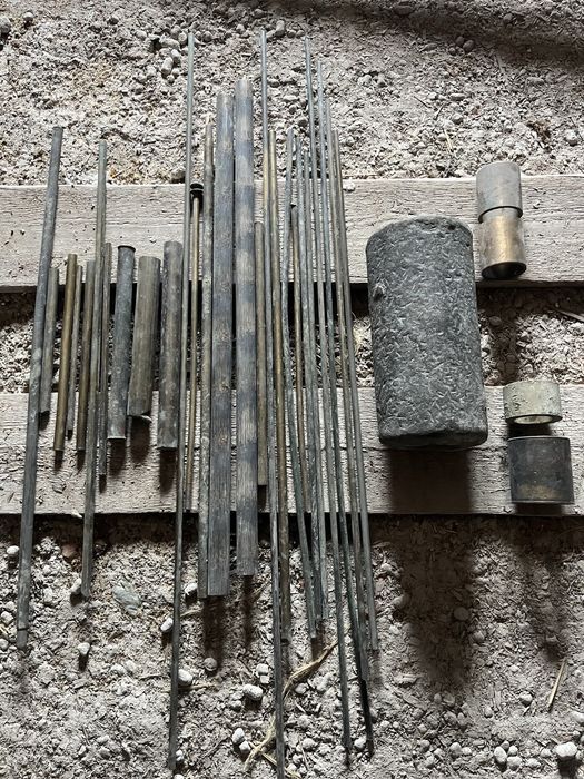 Кругляк  бронзовий