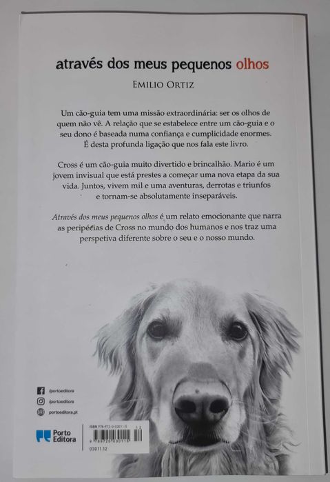 Através dos meus pequenos olhos, de Emilio Ortiz
