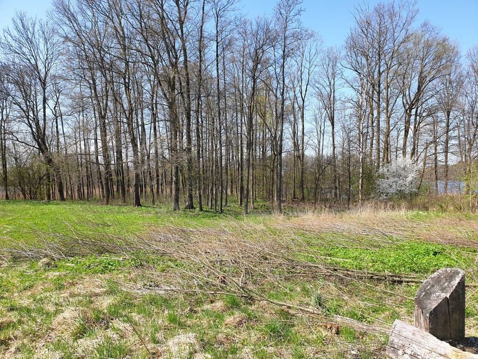 Działka rekreacyjna nad jeziorem Żywy - Vista 5