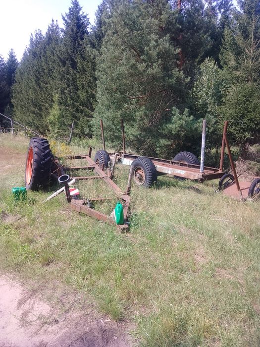 2 dwukulki leśne