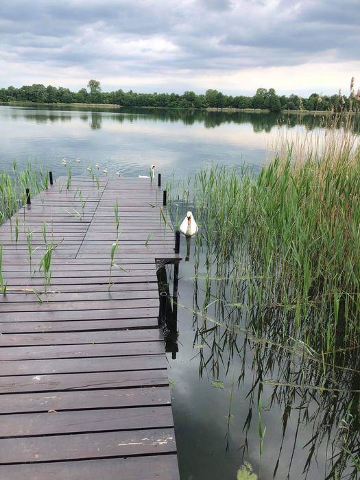 Domek nad jeziorem z własną linią brzegową.