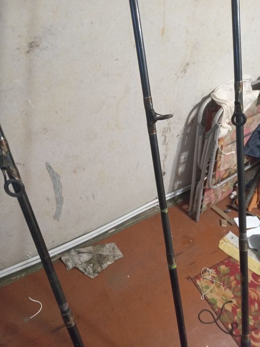 Спінінг карповий