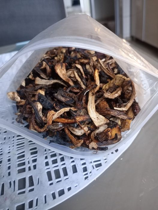 Grzyby świeże suszone mrożone