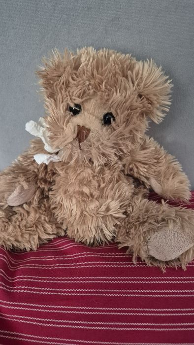 Bukowski mis pluszak