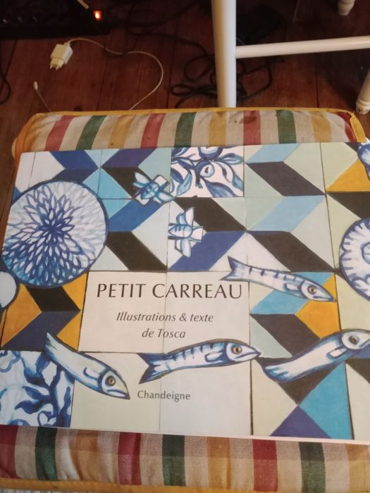 Livro  Petit carreau, como novo