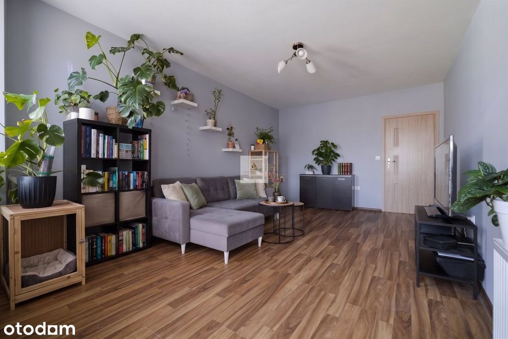 Top Lokalizacja | 2 pok. | Balkon