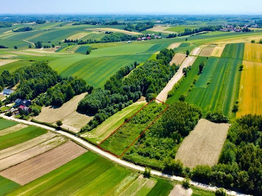 Pałecznica, 4 działki, 95 ar. WZ. Prywatnie.