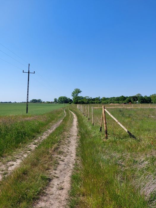 Ogrodzenie Lesne Tymczasowe Budowlane