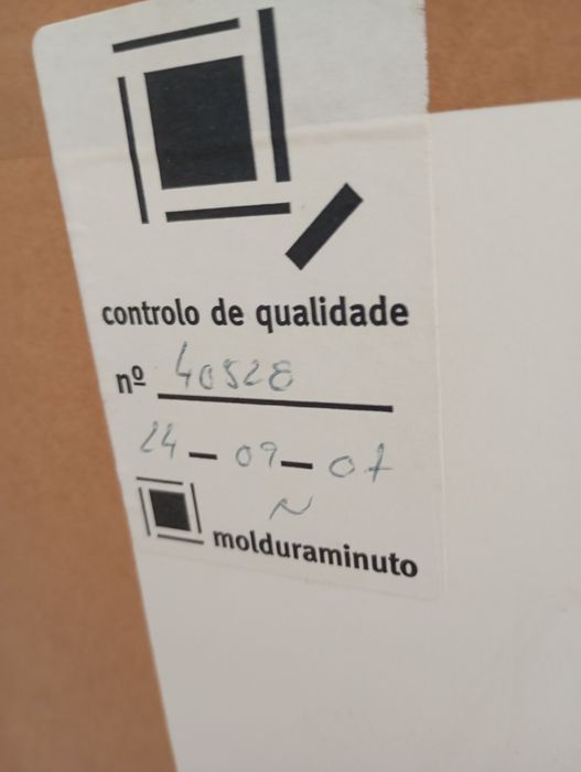 Quadro Foto Real de Leoa