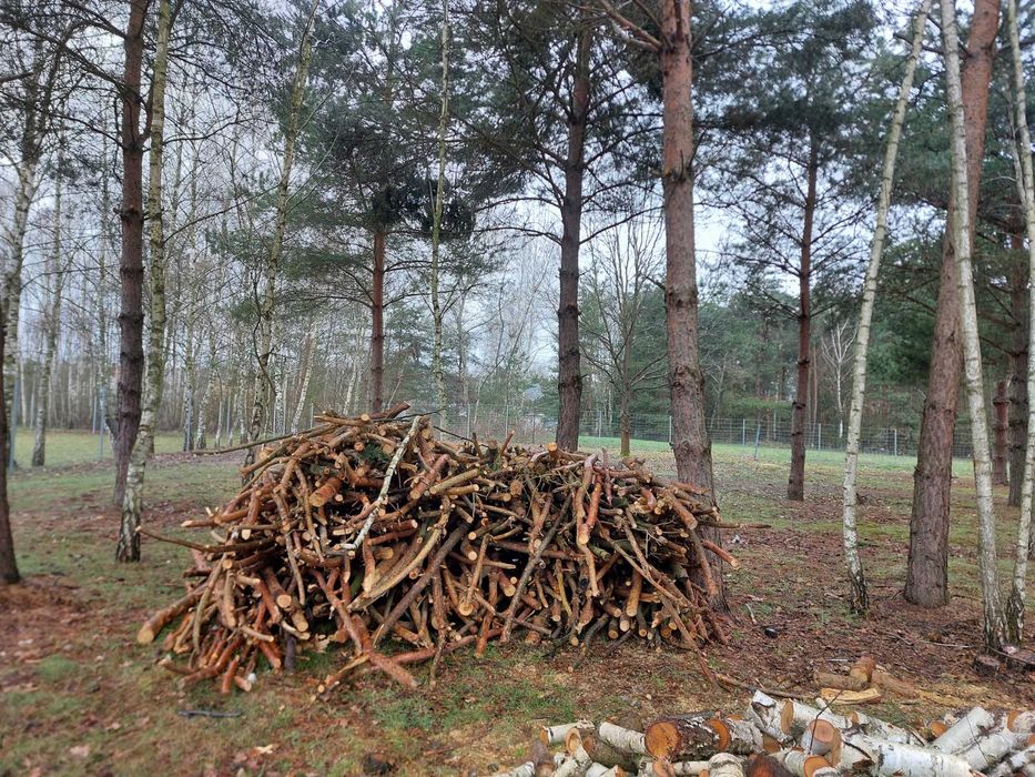 Sprzedam Drewno sosna