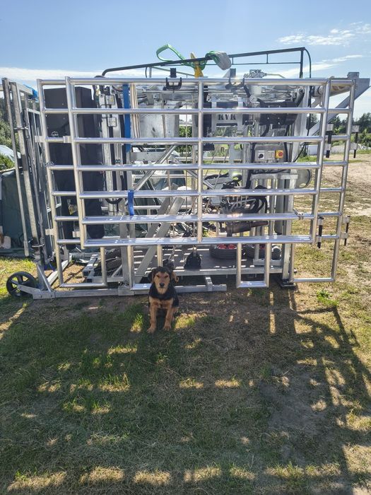 Korekcja Racic-Tomasz Dziekoński