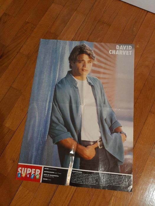 Poster David Charvet e Offspring