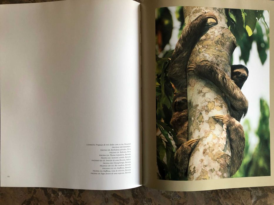 SELVAS, de Frans Lanting (Taschen)