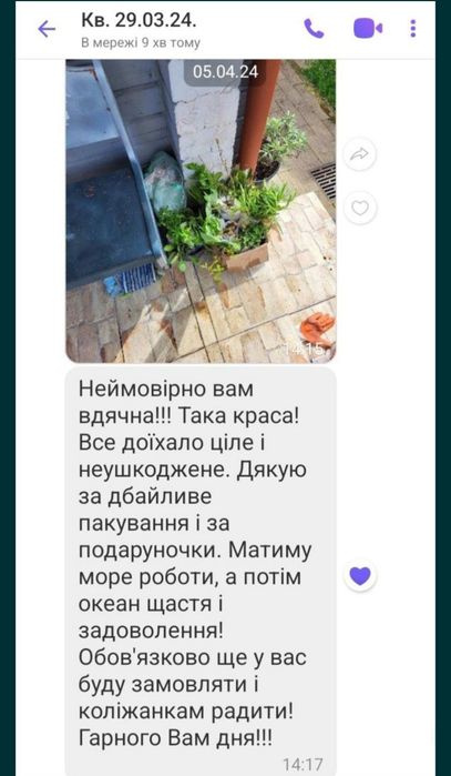 Знижки! Керія, кніфофія, вейгела, бірючина дейція, гліцинія жимолость
