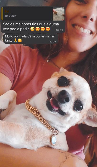 Pet sitting em estadia familiar - Oeiras