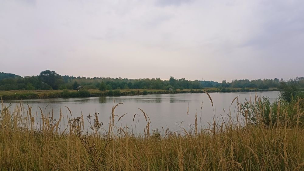 Продам ділянку в селі Літки на березі озера