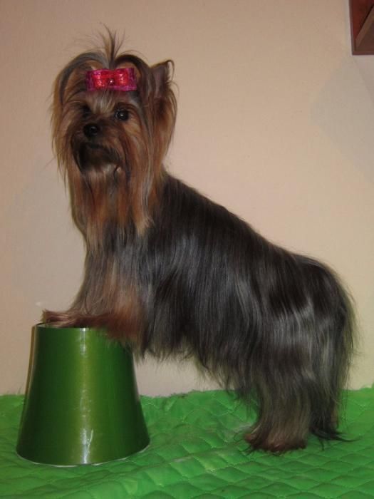 джентельмен приглашает на свиданье