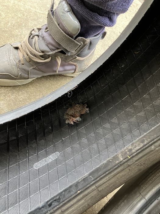 Шина покришка літні Falken Sincera 205/60/R16