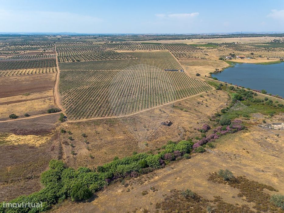 Terreno  para venda
