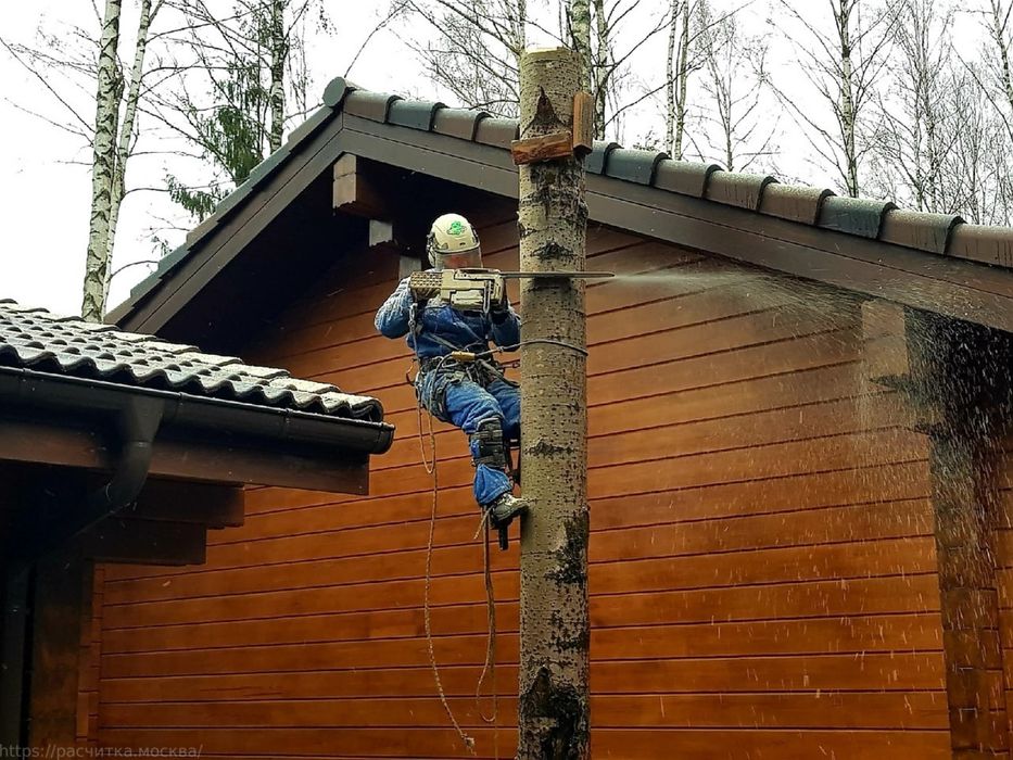 Расчистка участка. Земельные работы. Уборка територии. Вывоз мусора