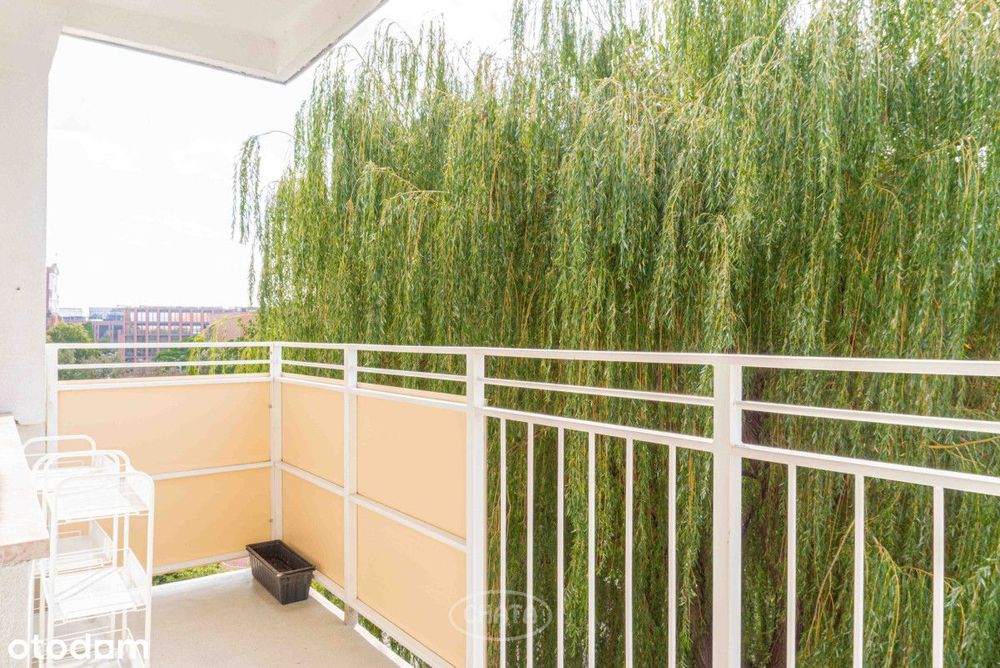 Ostrów Tumski za oknem | balkon | cisza w centrum