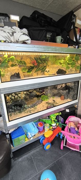 Podwójne terrarium z lokatorem