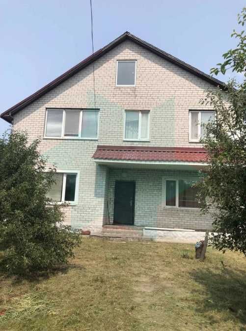 Продається великий будинок в мальовничий Царицанці