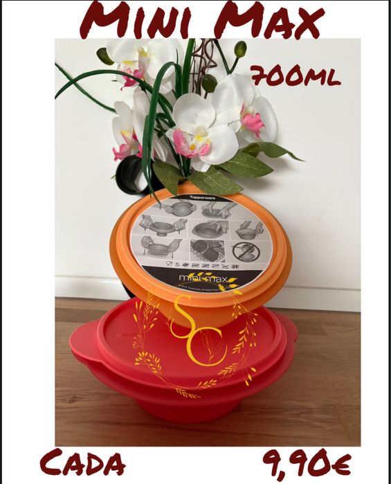 Mini Max tupperware
