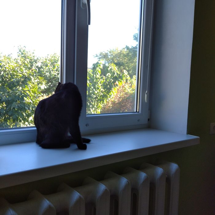 Сдам комнату в частном доме