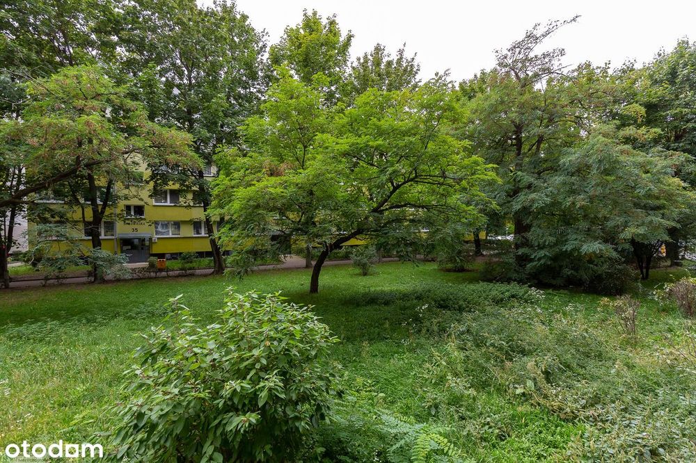 Mieszkanie I 54m2 I 3 pok I 2 600 zł I Fabryczna I Magnolia