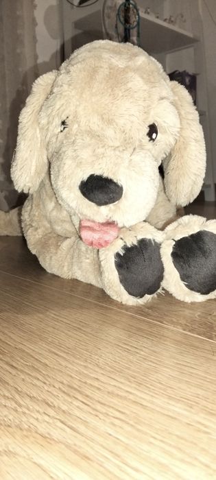 Cão de peluche praticamente novo