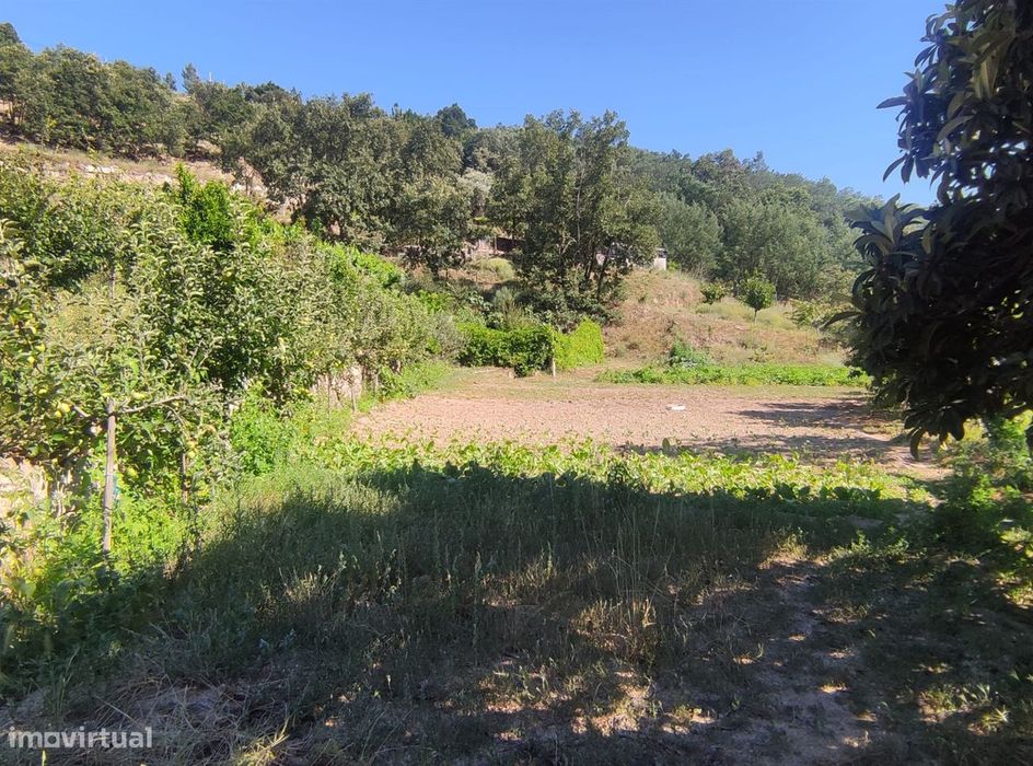 Quinta  Venda em Vela,Guarda
