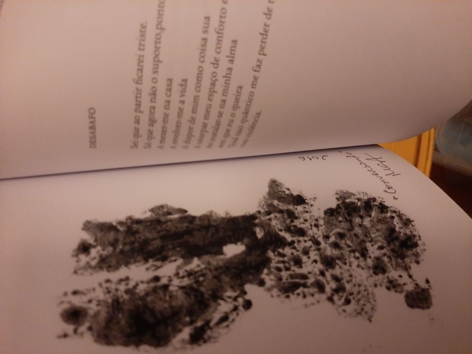 Olhares Dispersos Ju Andrade