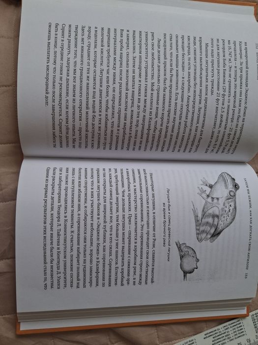 Книга Зачем мы бежим, или Как догнать свою антилопу.Бернда Хайнріха.
