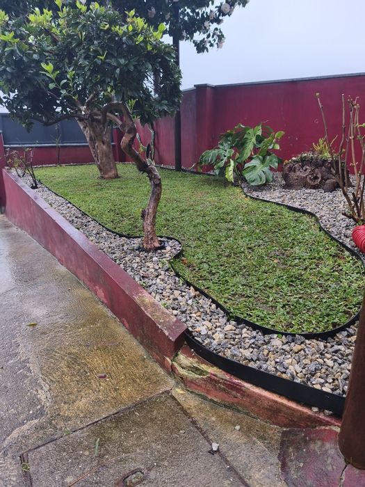 Serviços jardinagem