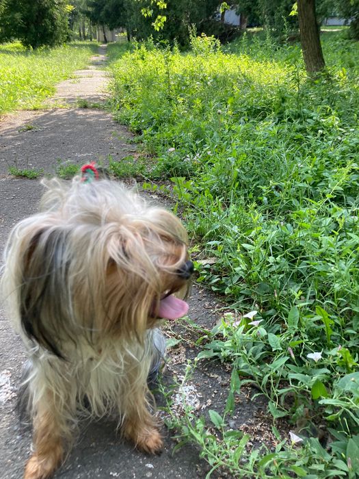 Раздаю очарованных Девочек и Мальчиков очень Красивых и Не Повторимых