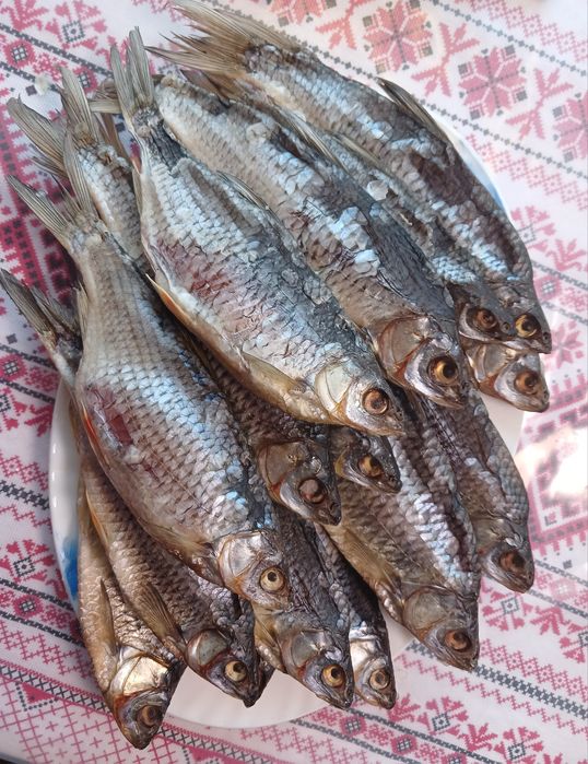 Плотва в'ялена,  сушена
